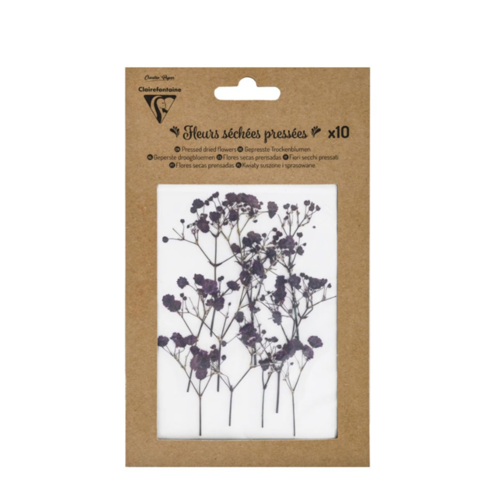 (10er Set) Gepresste Deko Trockenblumen Bastel DIY Blüten (195492C) - Lavendel