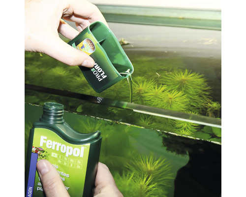 JBL Ferropol 250 ml D/GB