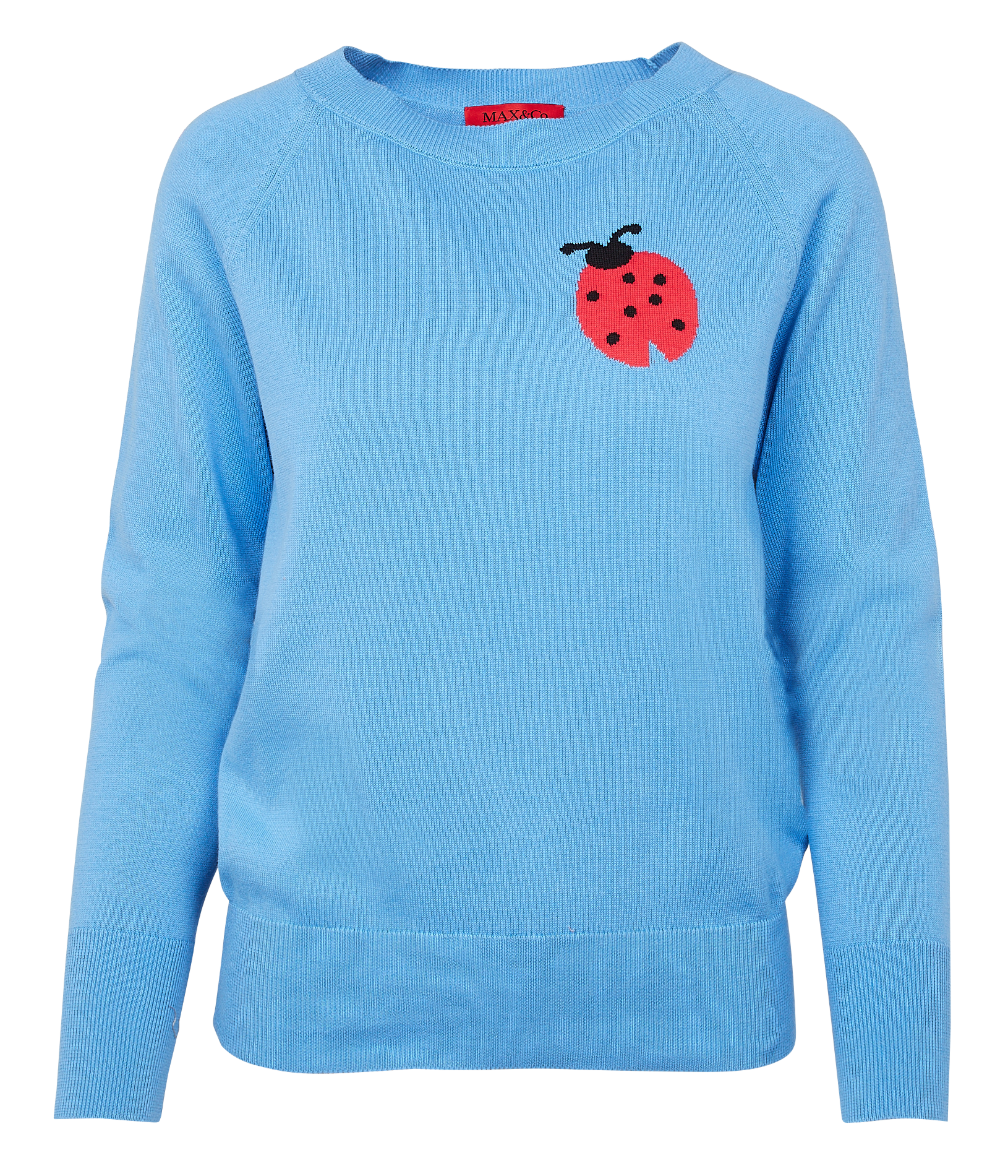 LAVENO - Pull col rond brodé en coton| Bleu