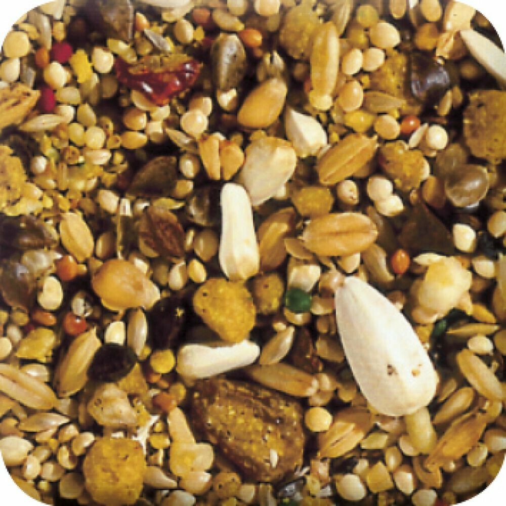 Beaphar XtraVital Grote Parkiet 500 gr