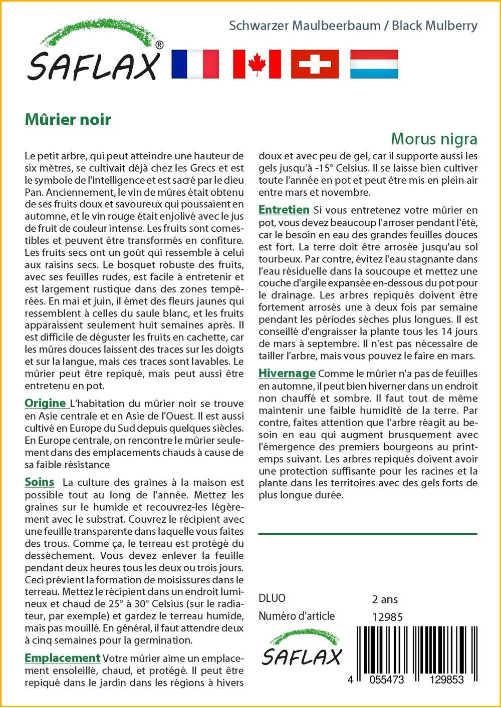 Mûrier noir - 200 graines - morus nigra