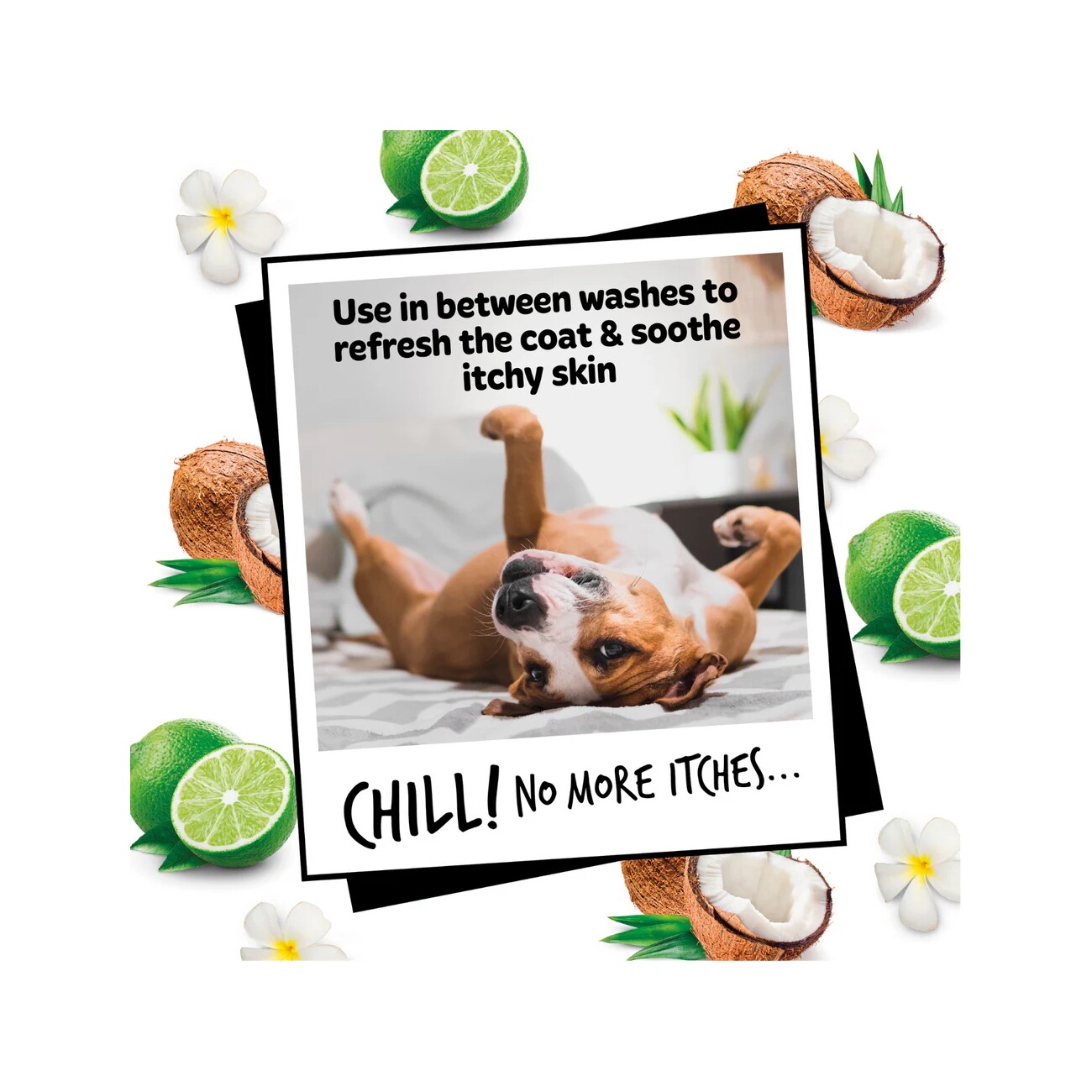 Bugalugs Oatmeal Hundedeodorant – Beruhigender Kokos- & Limettenduft mit Haferextrakt, Aloe Vera & Pro-Vitamin B5
