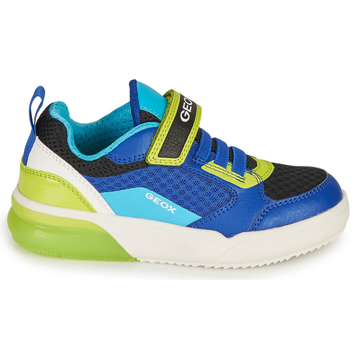Geox - GRAYJAY BOY - Bleu / Lime