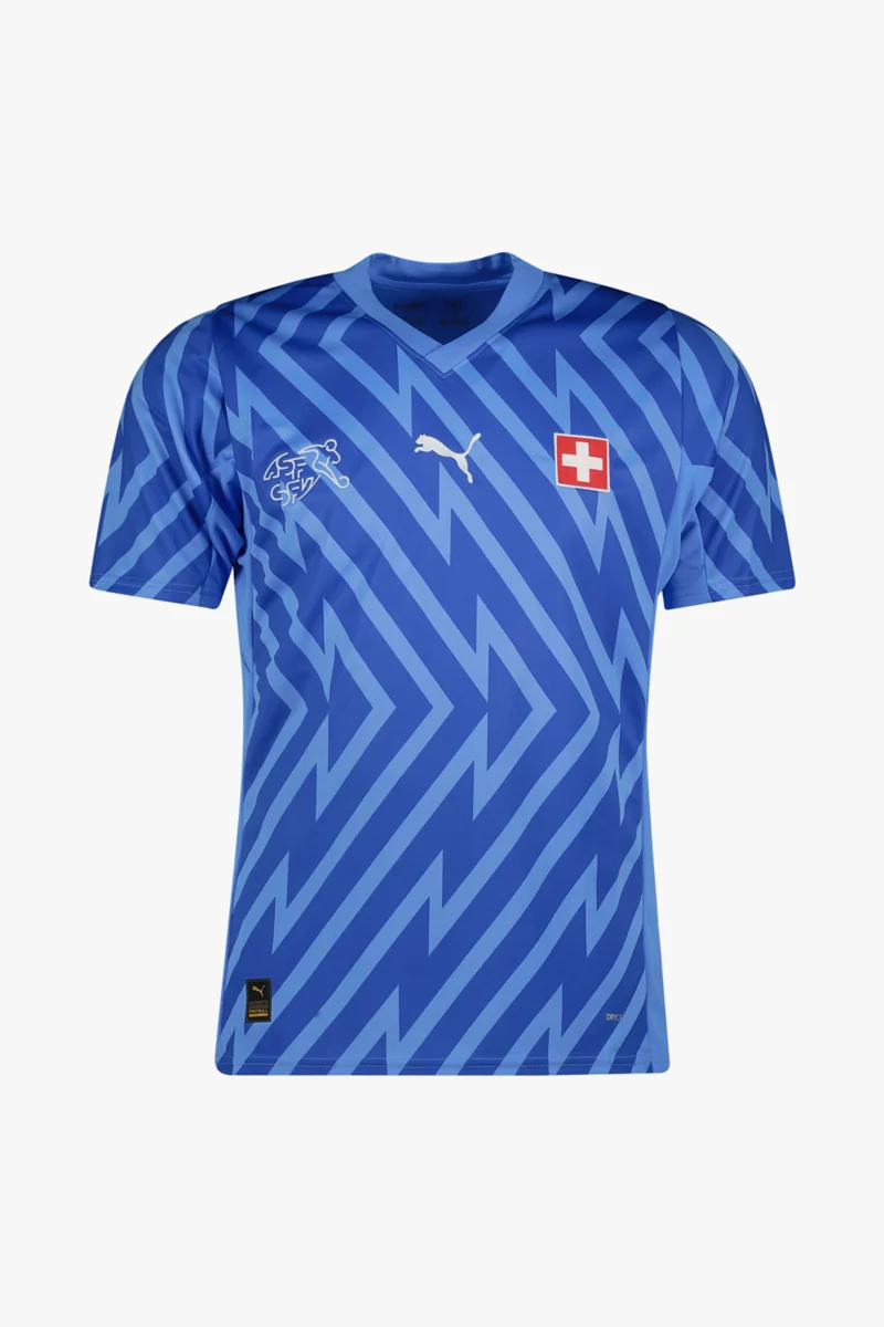 Puma Schweiz Replica Herren Torwarttrikot EM 2024 blau