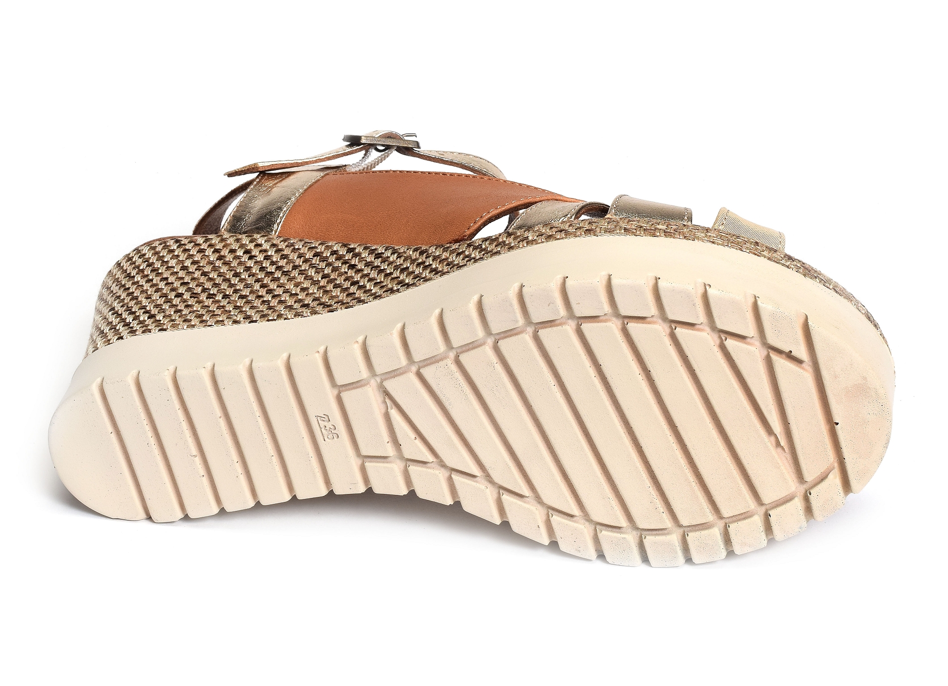 Caroline camel or