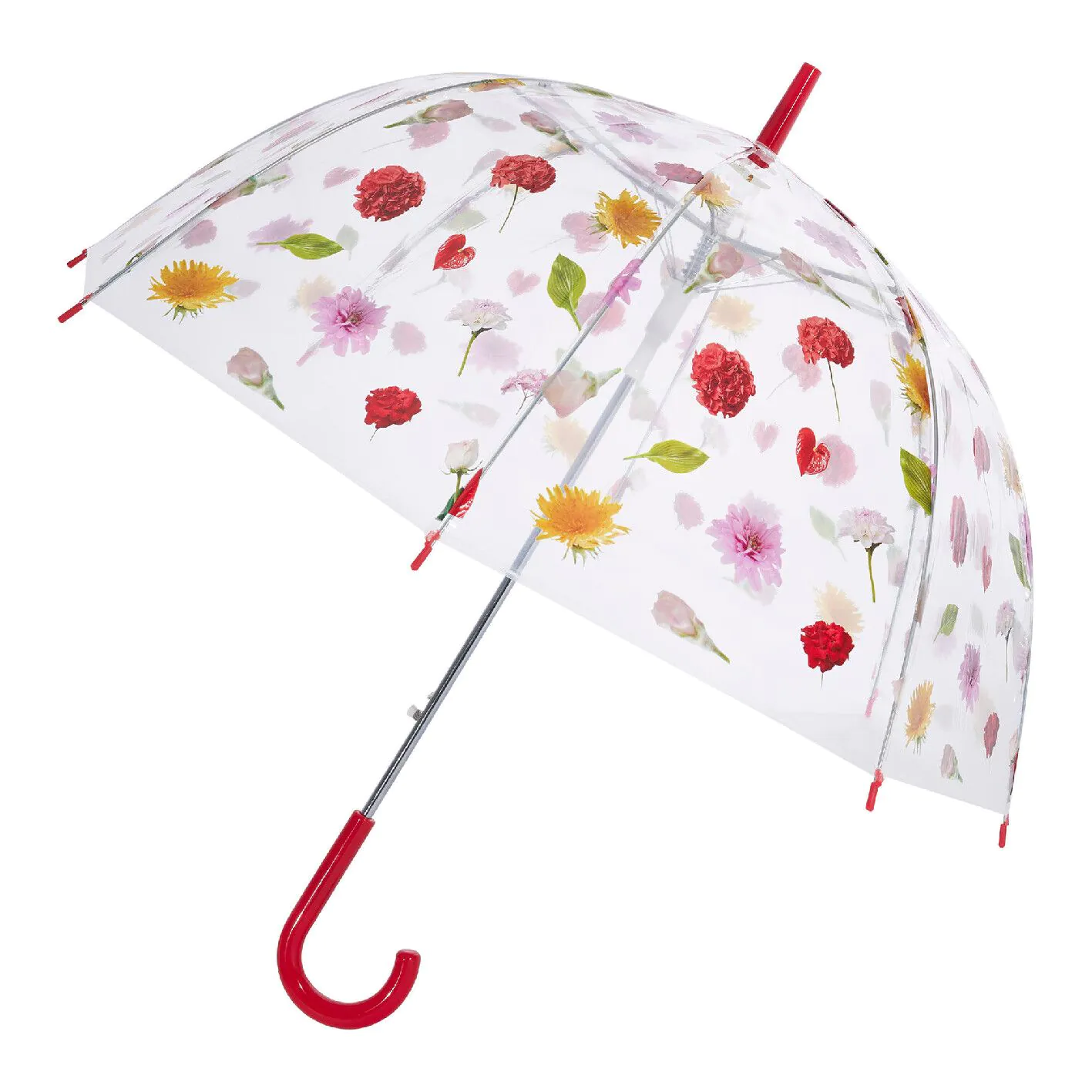 Regenschirm Transparent, Blumen