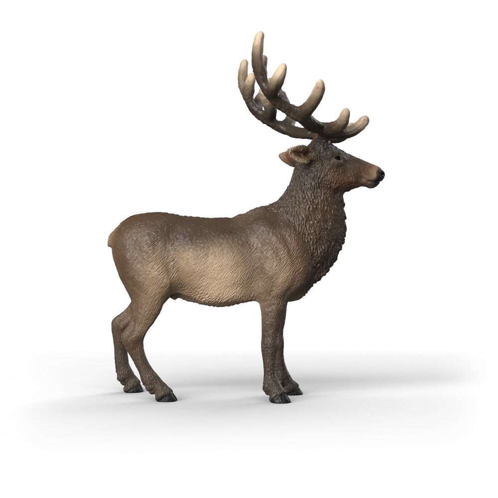 Køb Schleich Elg