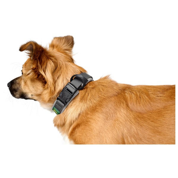 Hunter - Halsung Maldon - Collier pour chien