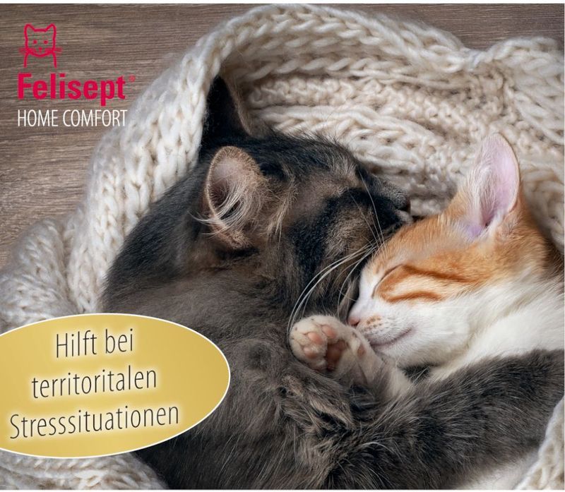 Felisept - Home Comfort - Kalmeringshalsband - Kattenmunt - Natuurlijk