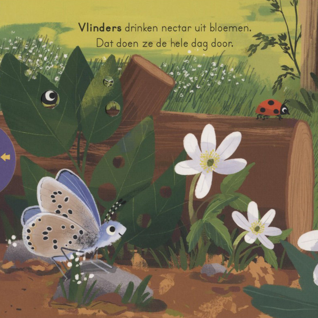Veltman uitgevers schuifboekje in het bos