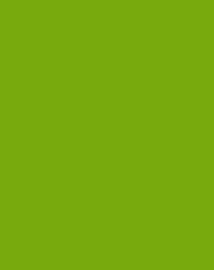 Kissen Infanskids rund (Farbe: lime)