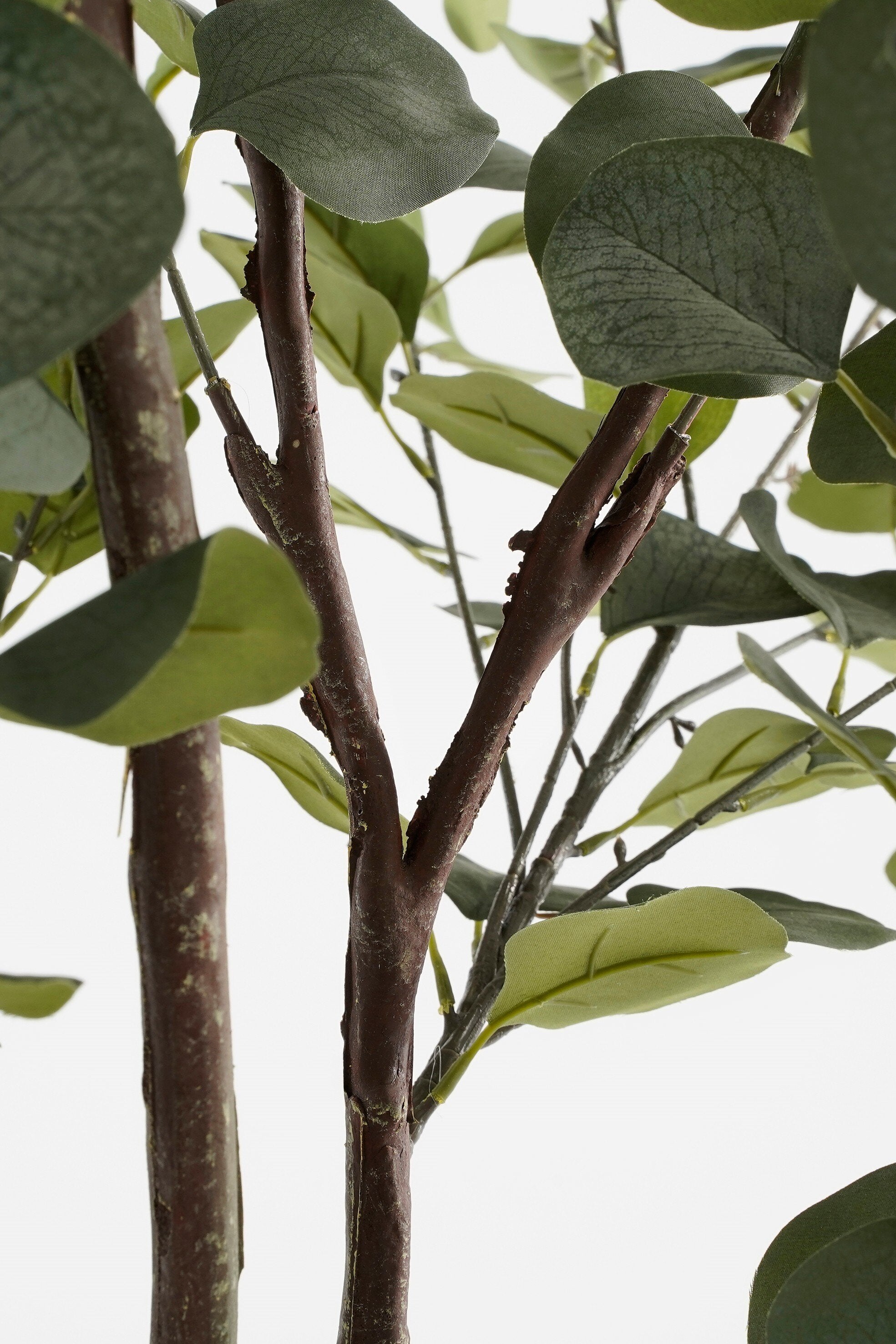Mica Decorations Eucalyptus boom in pot groen - h95xd35cm