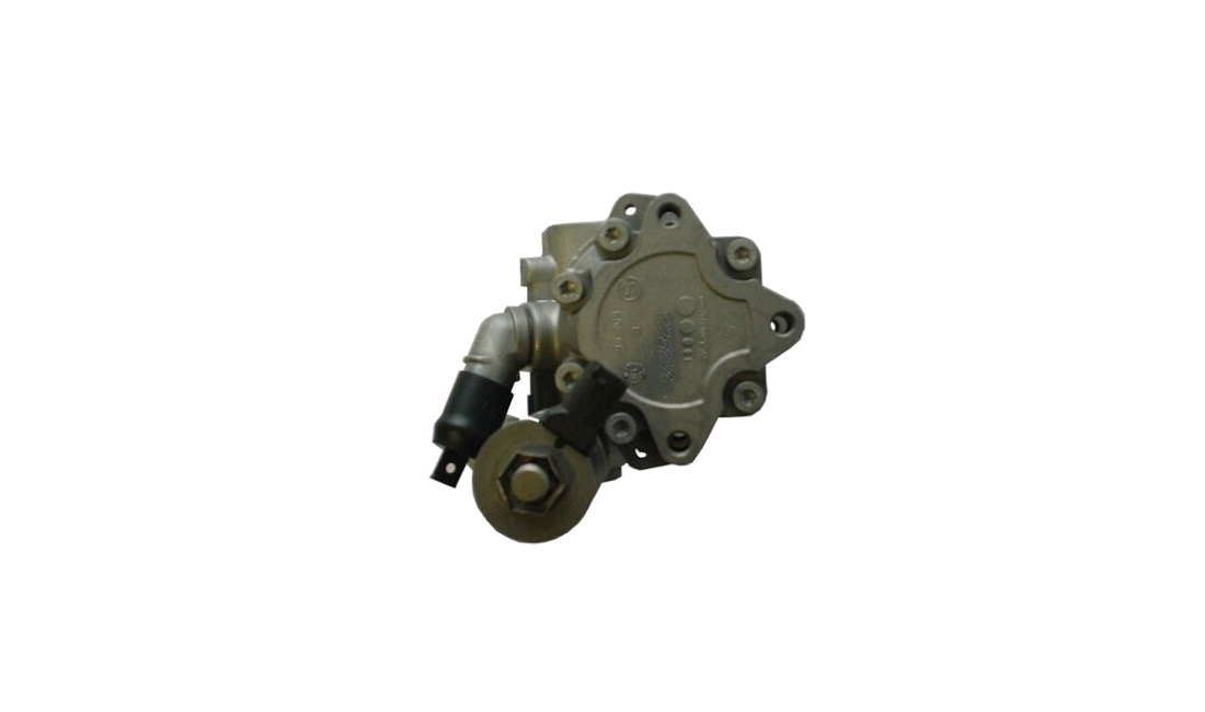 Servopumpe