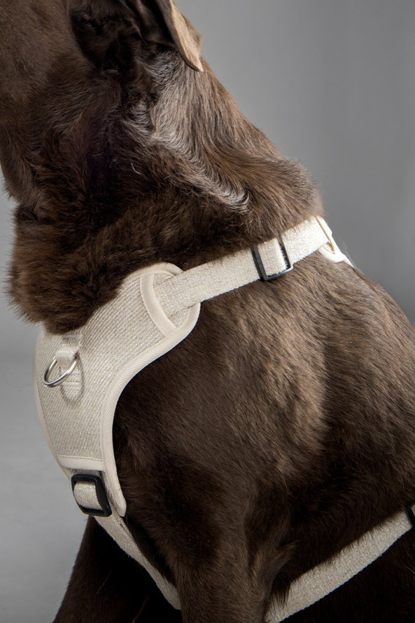 Flamingo f-523777 - Harnais Confortable en Lin pour Chiens