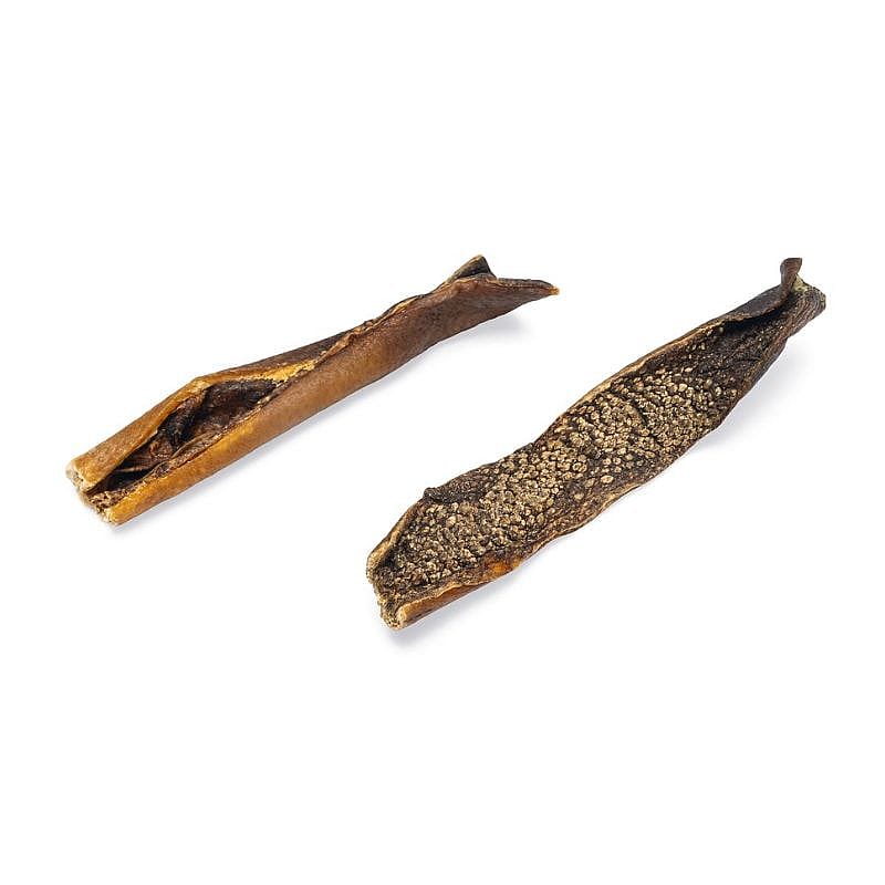 Beeztees Wild Zwijn Huid Hond 200 gram | 15345