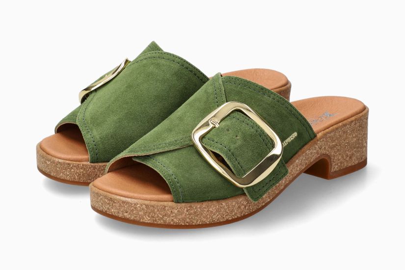 FOLINE OLIVE