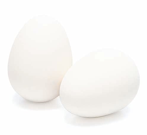 Welkoop - Nesteieren - 2 Stuks - wit - 17.5x10.1x4.1 cm