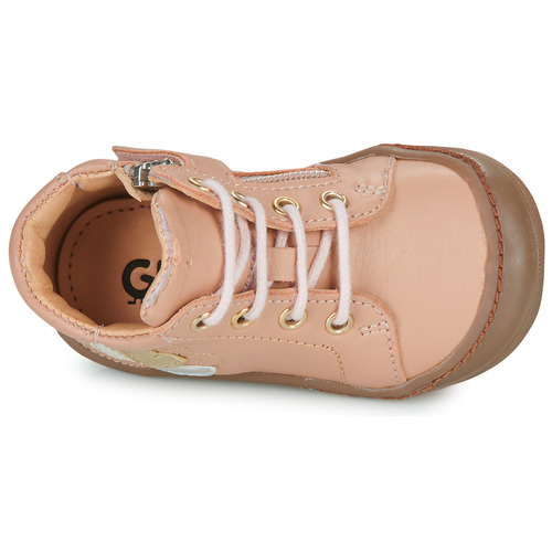 GBB - REINETTE FLEX - Rose