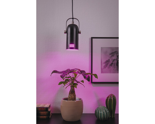 Plantenlamp, 1-lamp, HxØ 180x10 cm, zwart