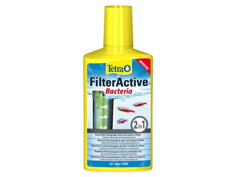 Tetra Wasserpflege FilterActive Bacteria 2in1, 250 ml Hält den Filter biologisch aktiv und reduziert Mulm