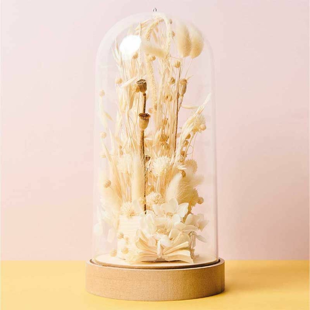Mousse florale pour fleurs séchées ø 7,5cm