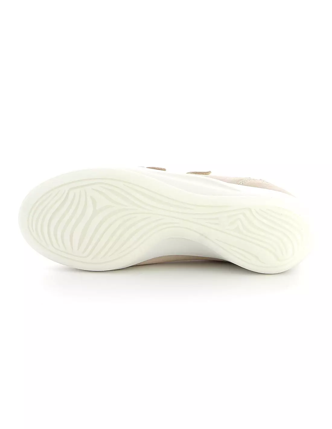 TBS ACCROC - Baskets Champagne
