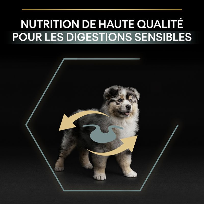 PURINA PRO PLAN Medium Puppy Sensitive Digestion agneau
