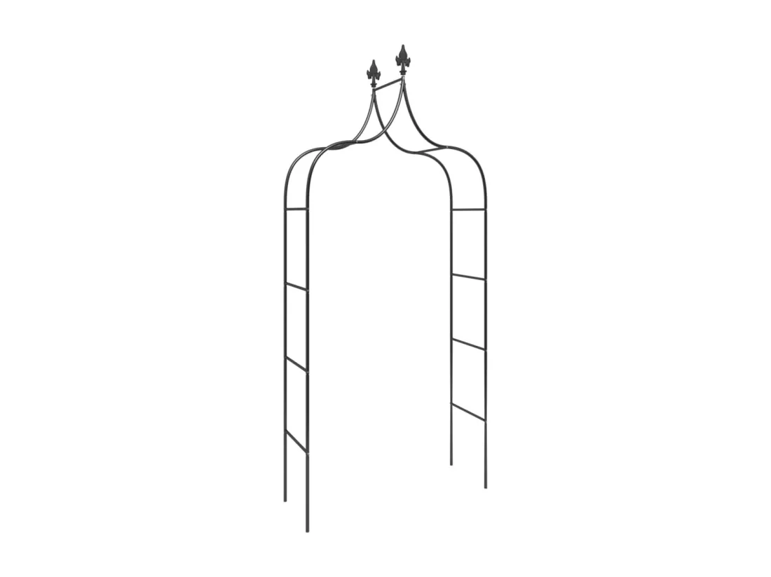 Arches de jardin 2 pcs Noir 120x38x260 cm Acier
