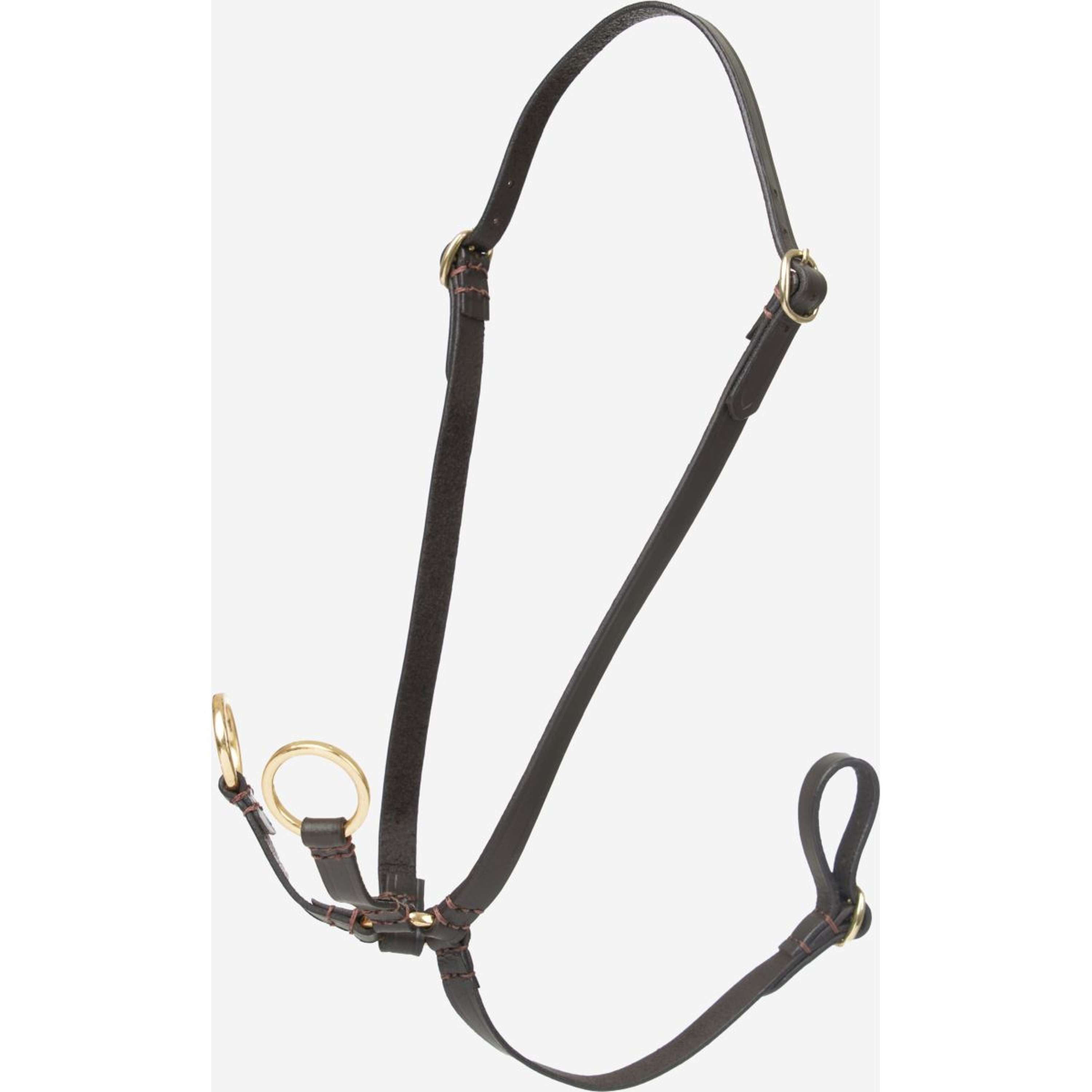 LeMieux Hobby Horse Running Martingaal Bruin