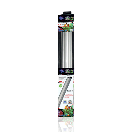 Rampe Led 60 cm 20 W Blanc / Bleu