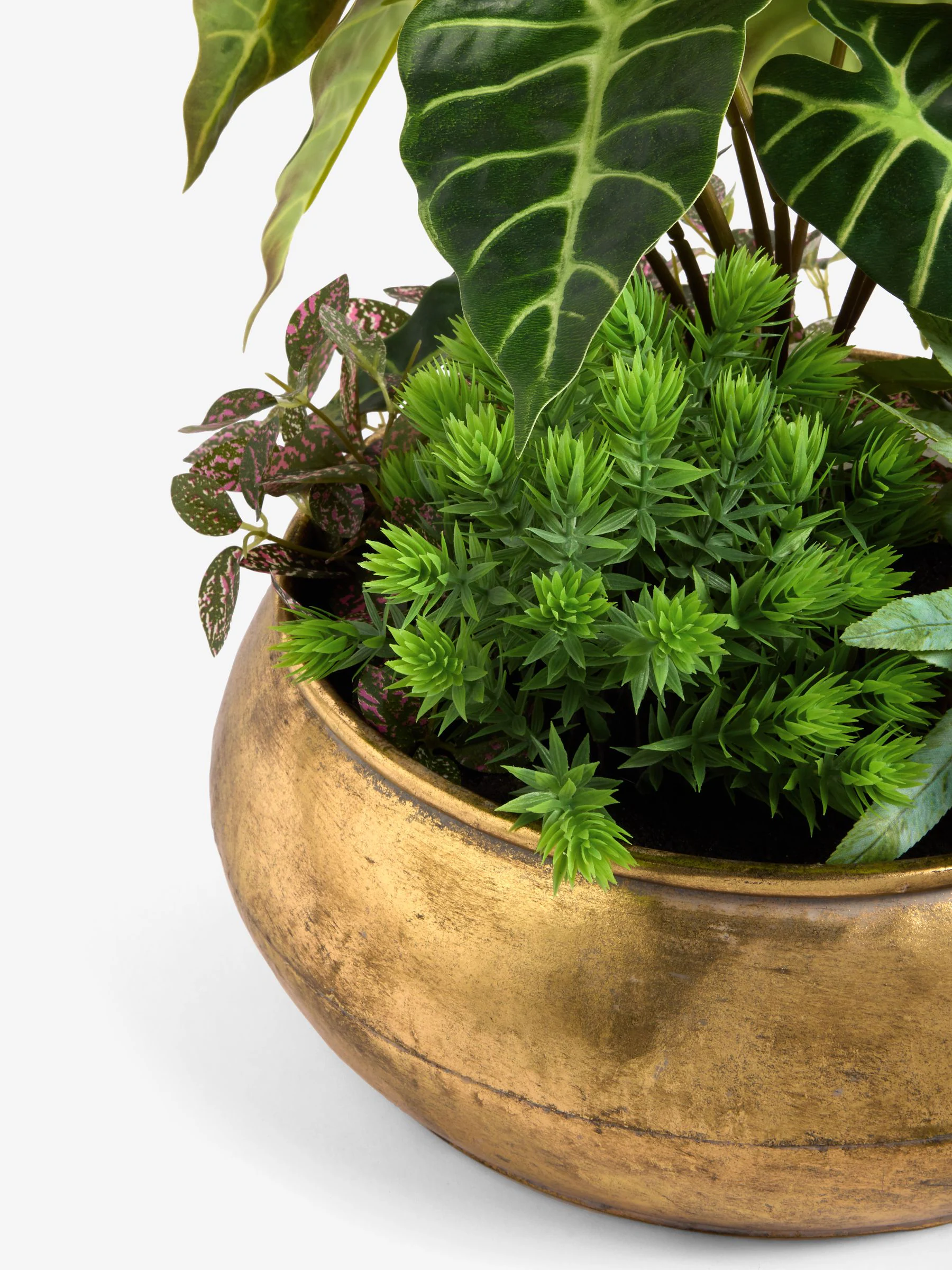 Kunstmatige succulentenopstelling