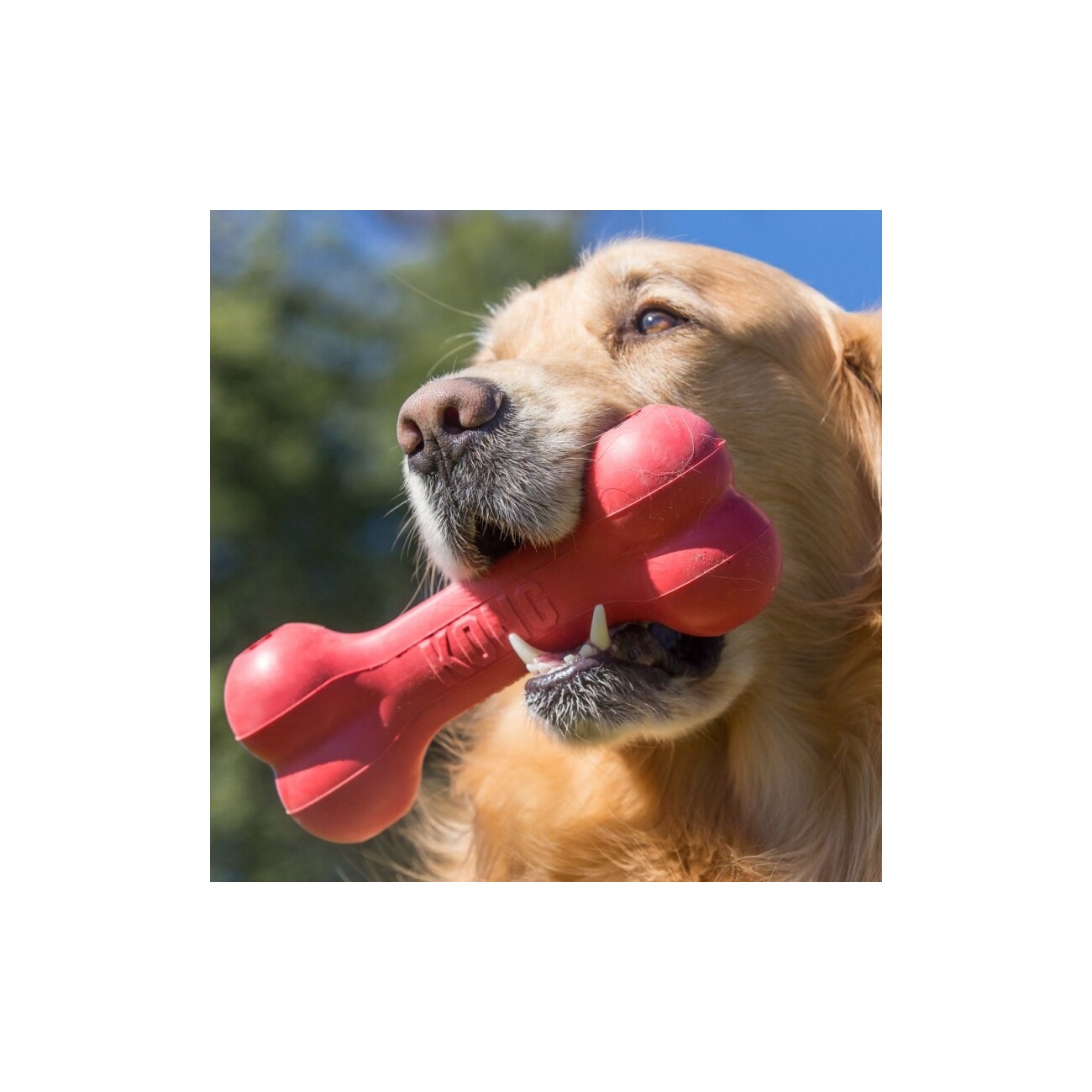 KONG Goodie Bone Classic
