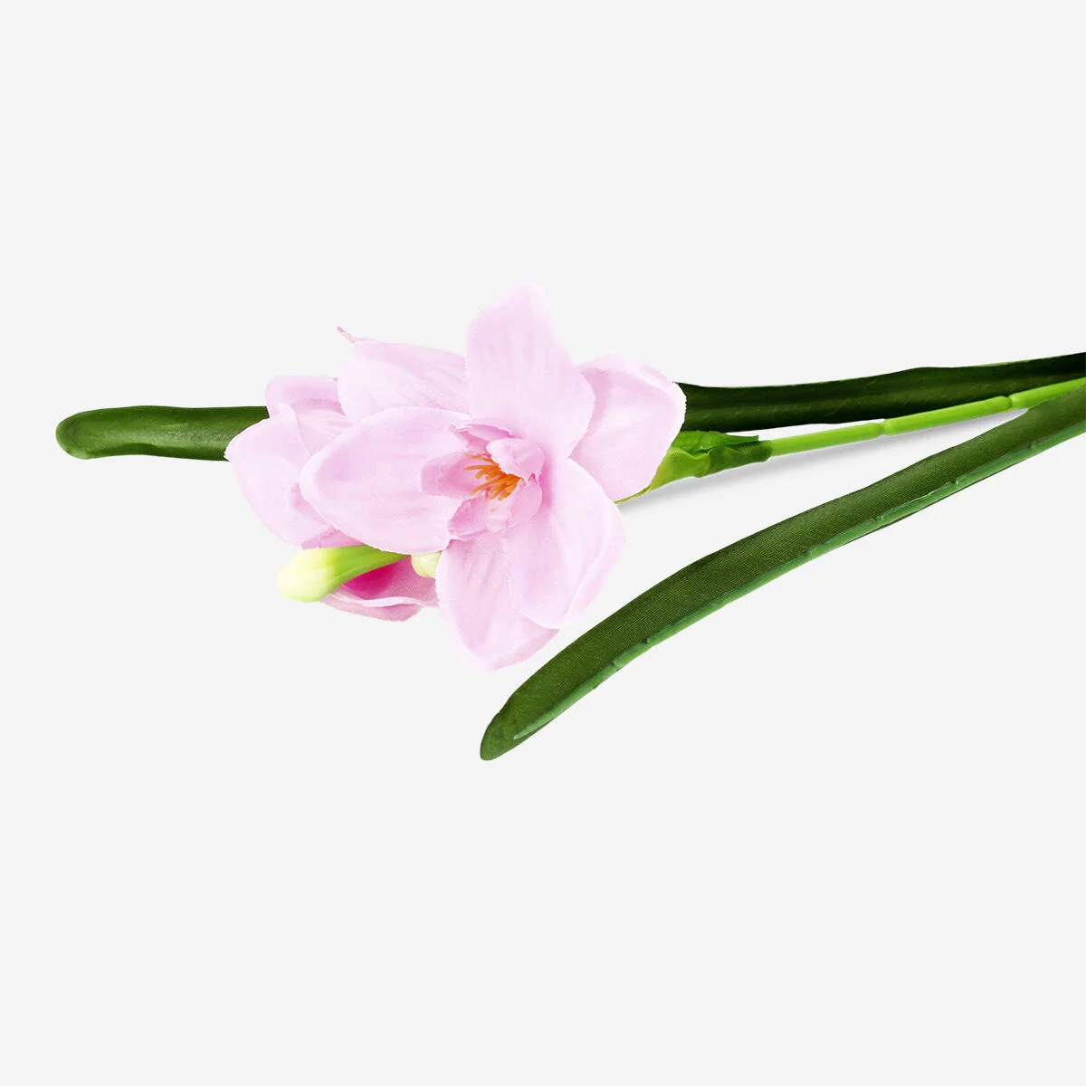 Dekorativ lyserød blomst