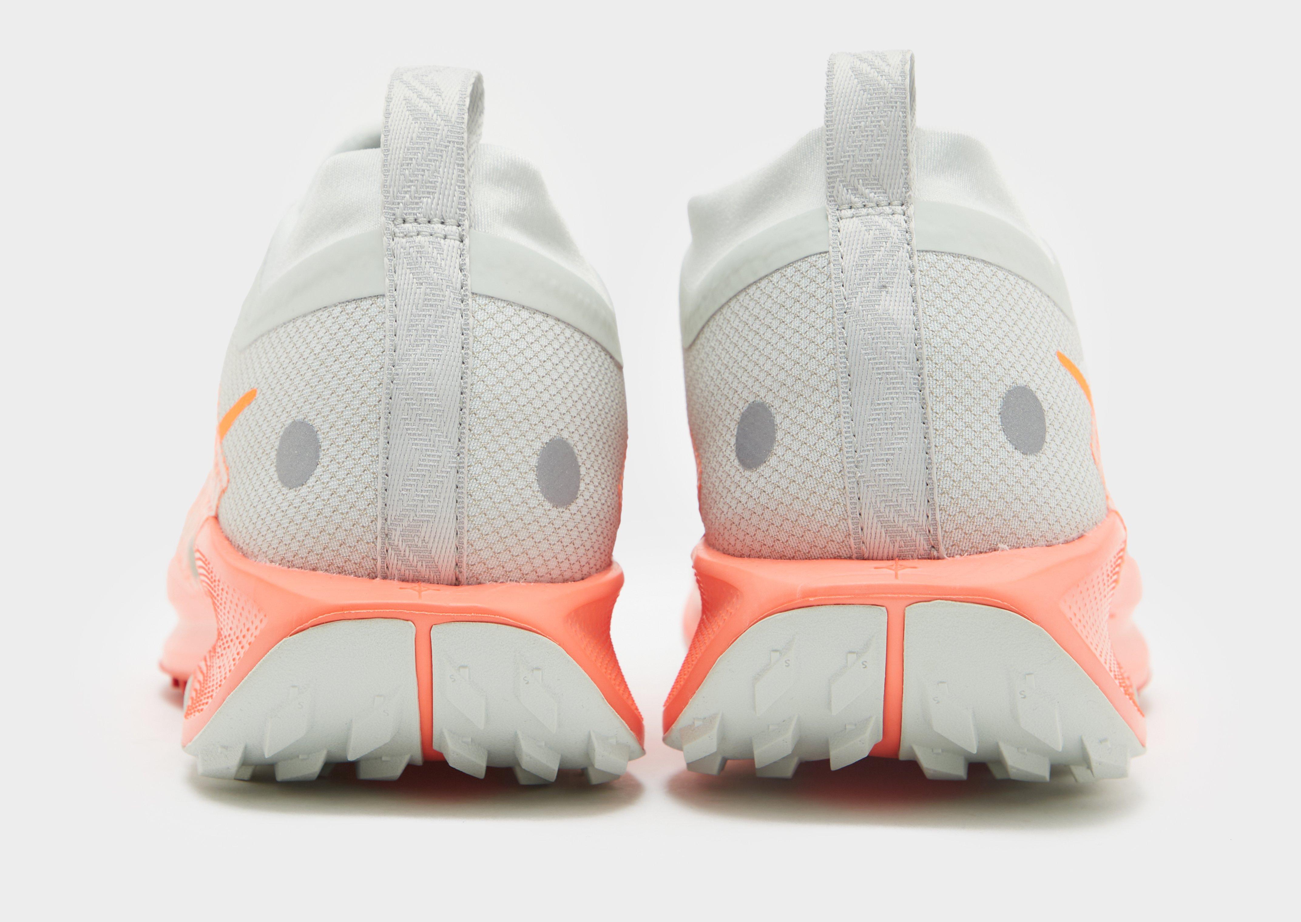 Nike Pegasus Trail 5 GORE-TEX Homme