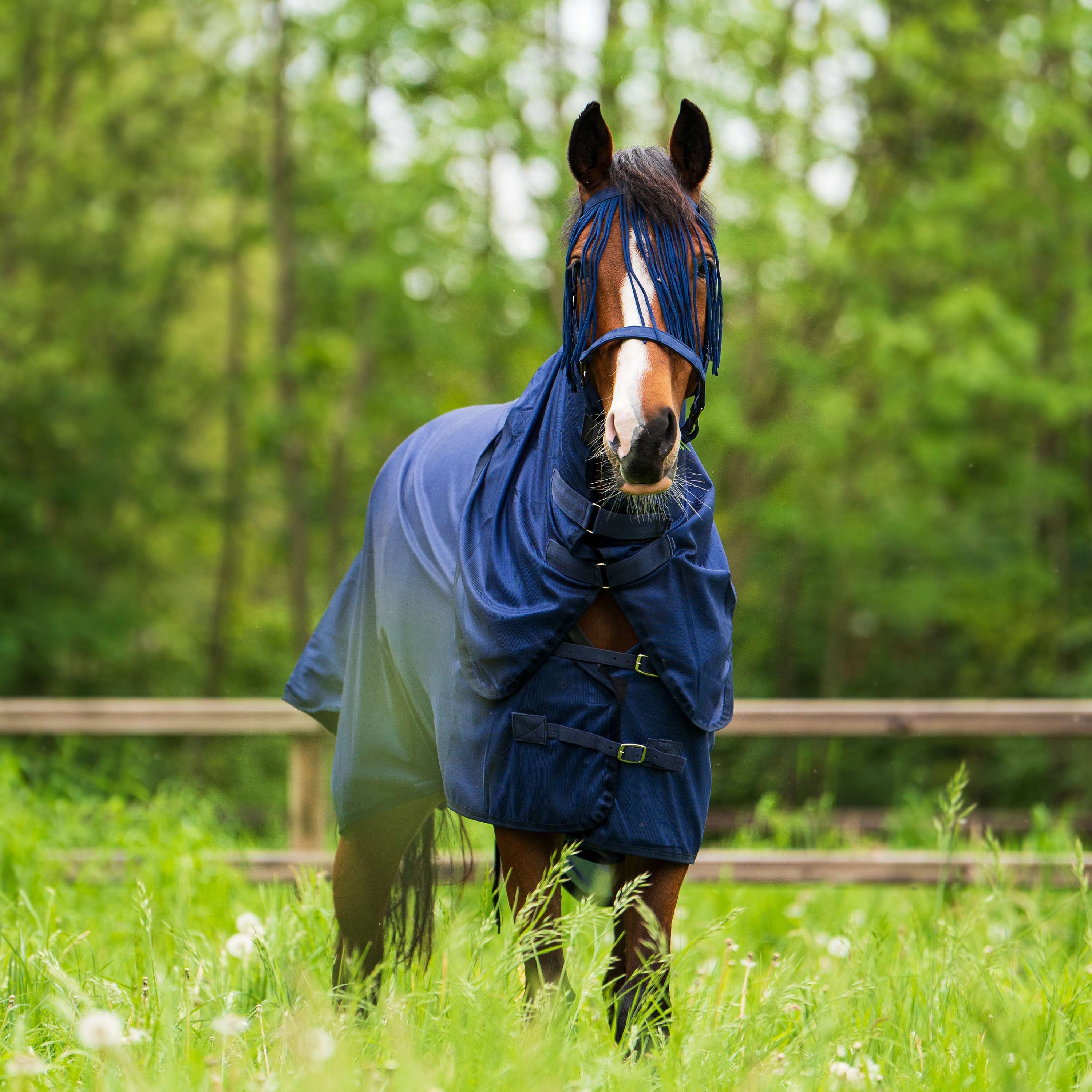 Imperial Riding Vliegendeken IRHReese Navy