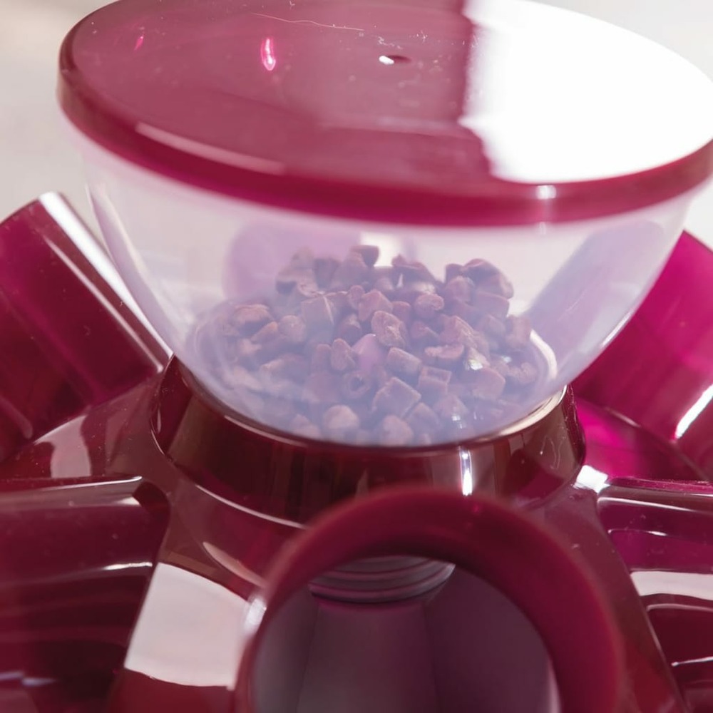 Jeu de stratégie d'activité et d'alimentation pour chats rouge