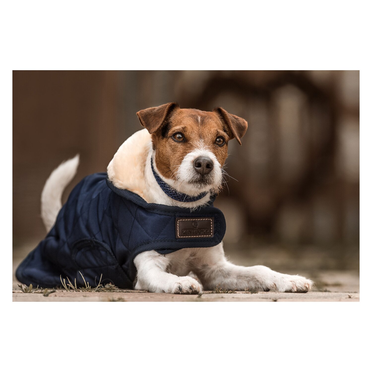KENTUCKY DOGWEAR Hundemantel Original - navy - XXL