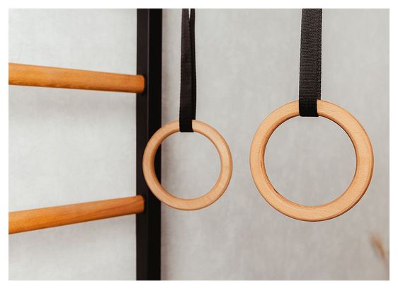 Espalier de gymnastique BenchK  721B   A076