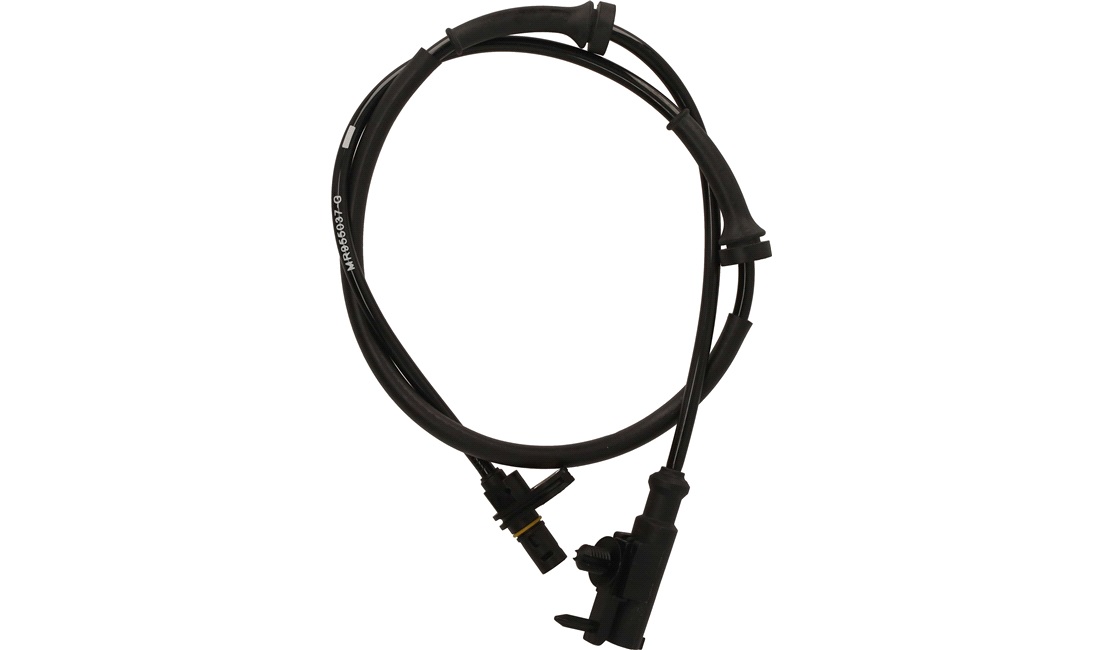 ABS sensor
