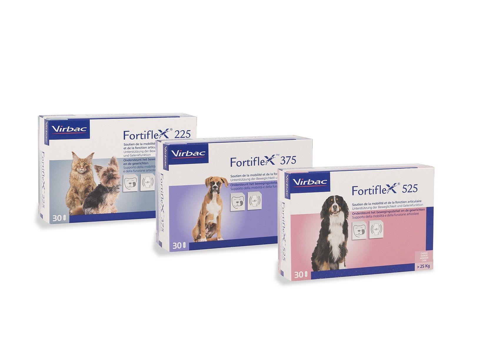 Fortiflex 225 30 tabletten