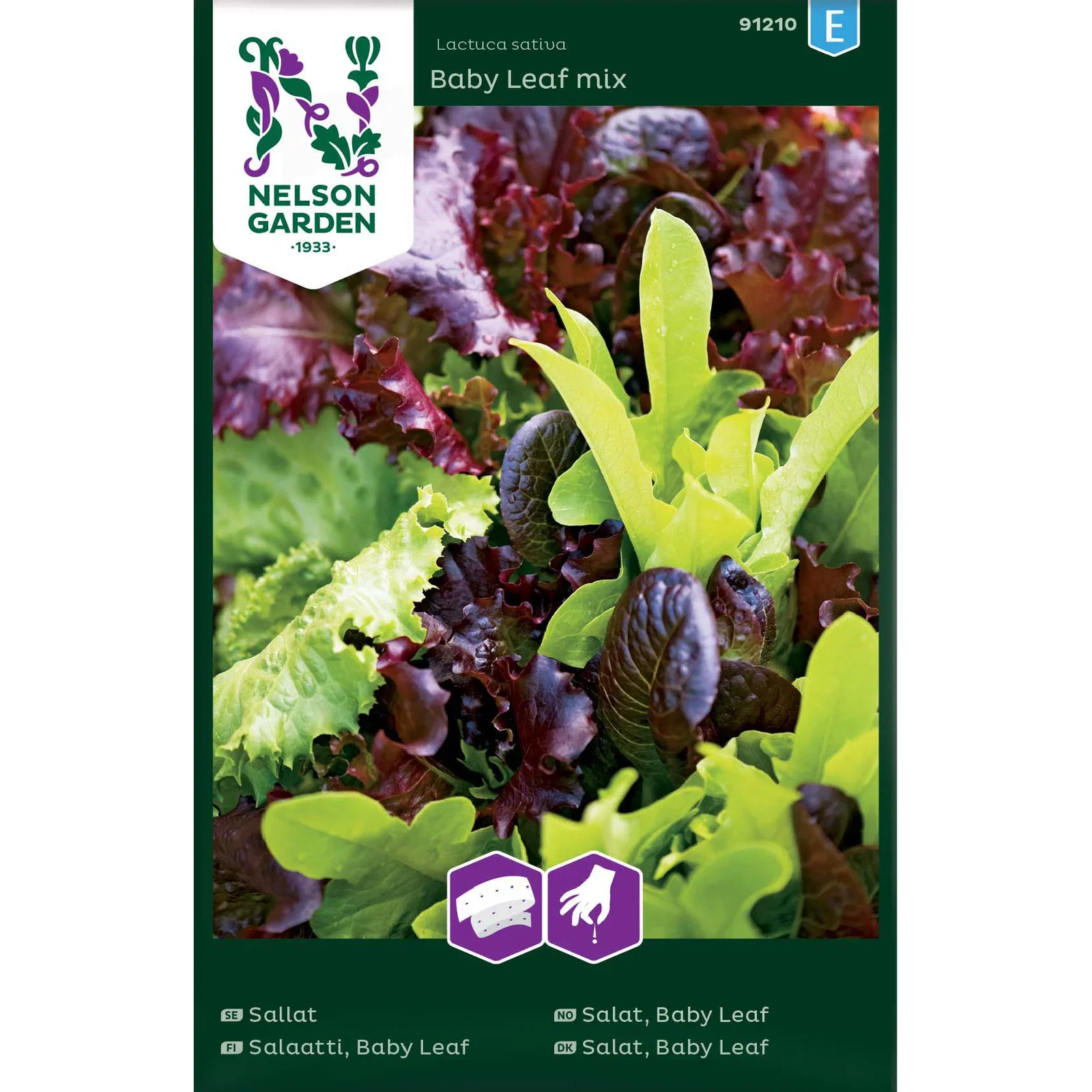 Lactuca sativa 'Baby Leaf Mix' Salat 'Baby Leaf Mix'