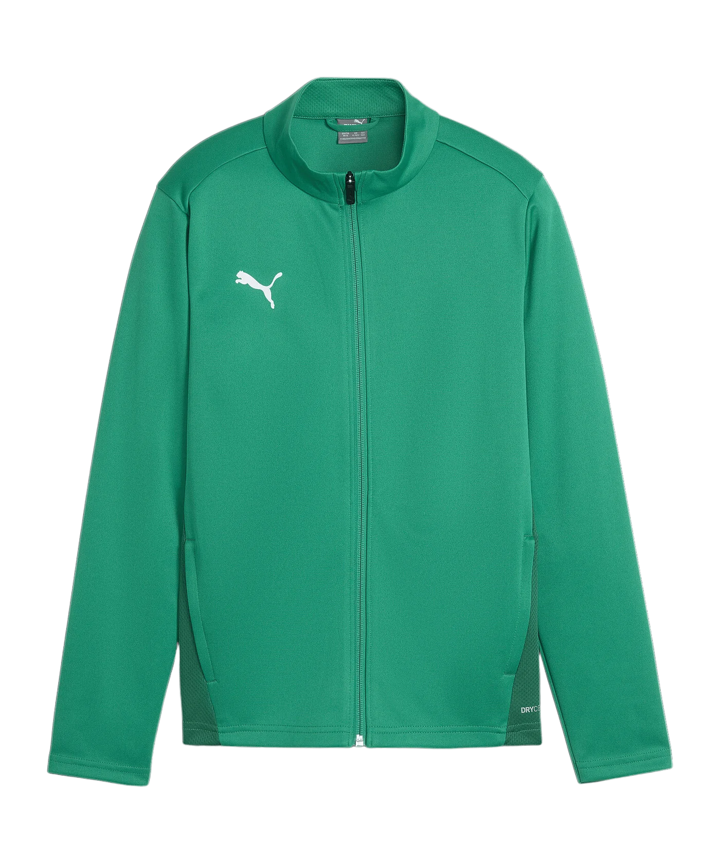 PUMA teamGOAL Trainingsjacke Kids Grün F05