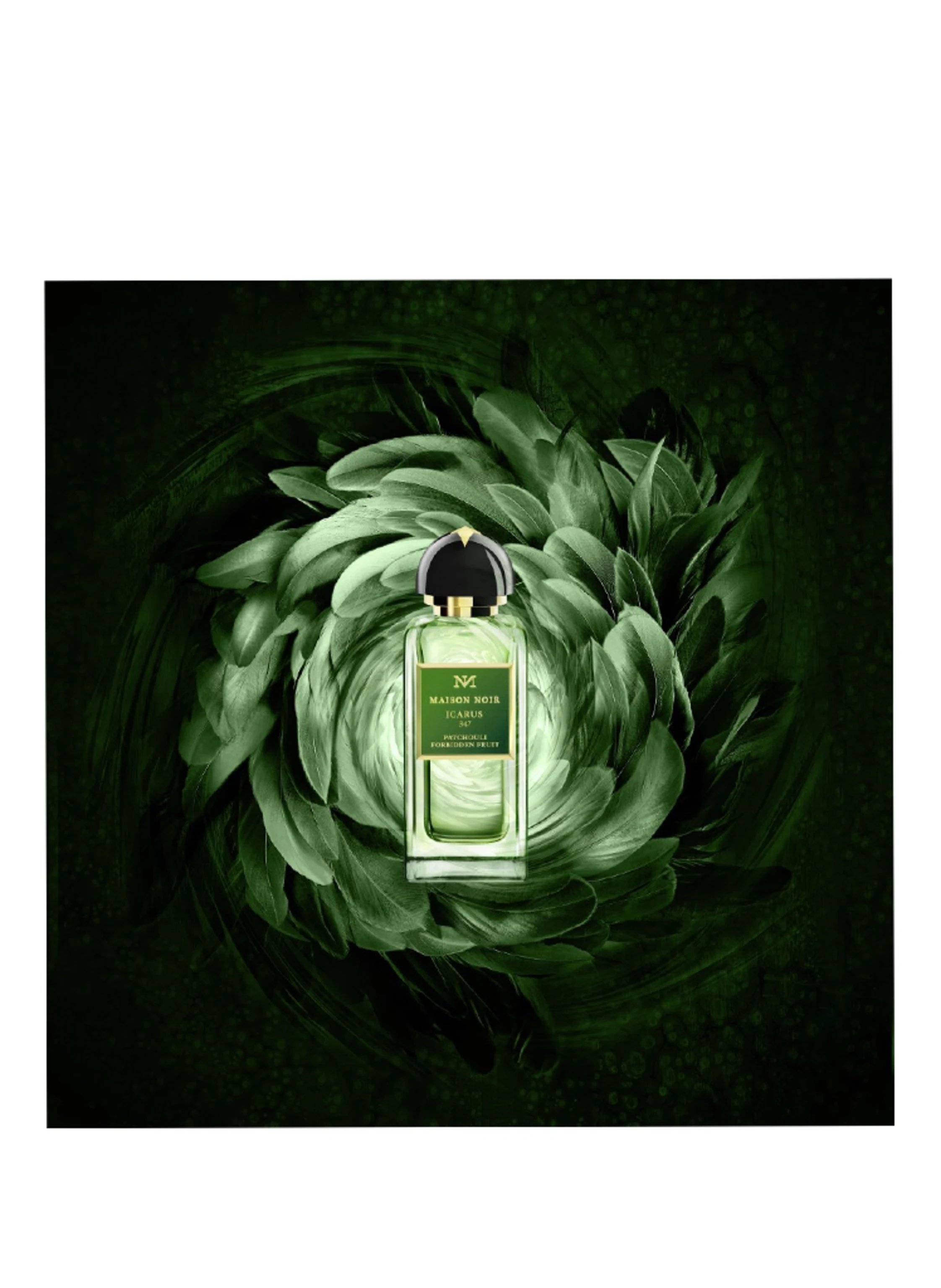 MAISON NOIR ICARUS 347