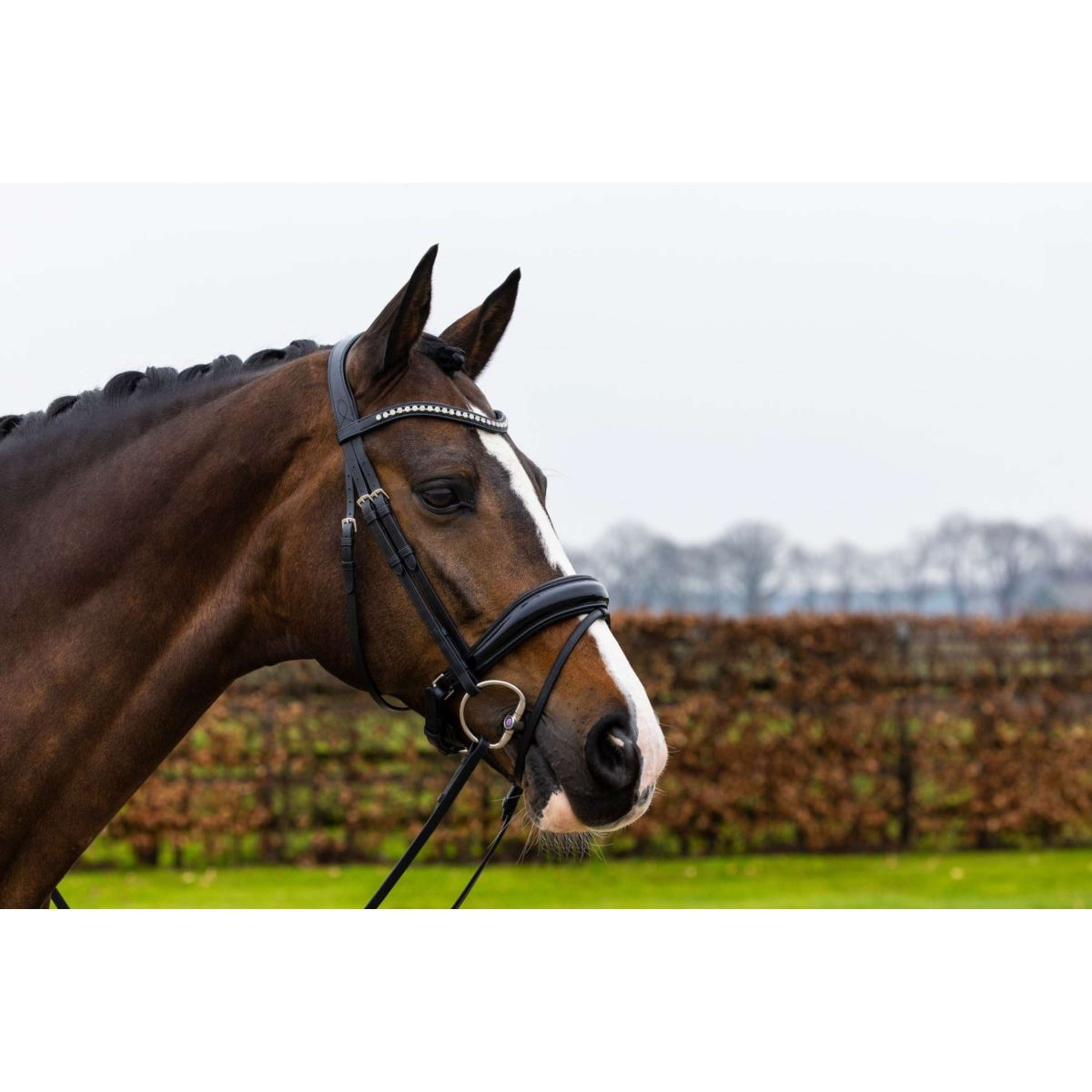 Trust Hoofdstel Rotterdam Zwart/Zilver