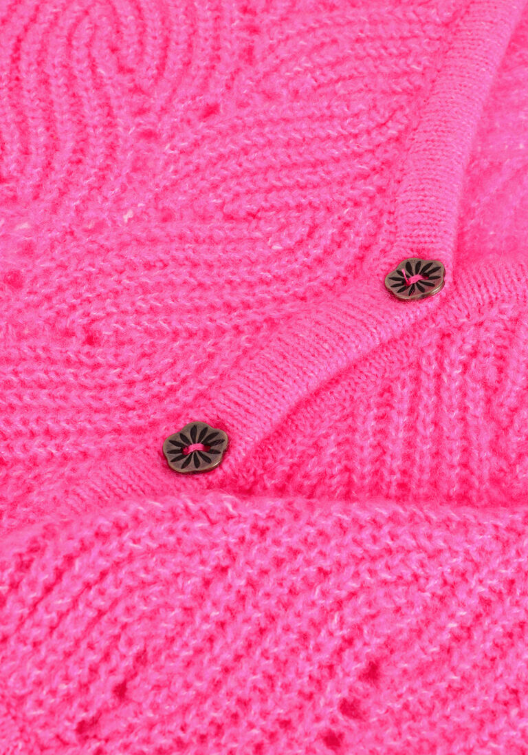AMMEHOELA roze ammehoela vest am.ginny.02