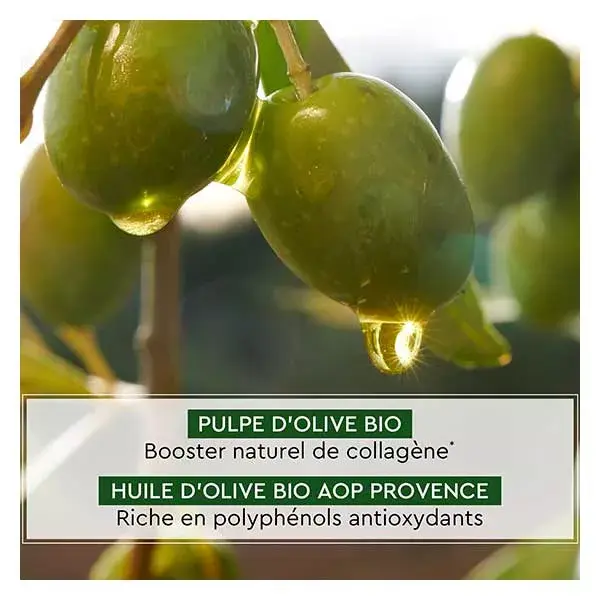 La Provençale Jouvence Bálsamo Dourado Noturno Orgânico Redensificante 50ml