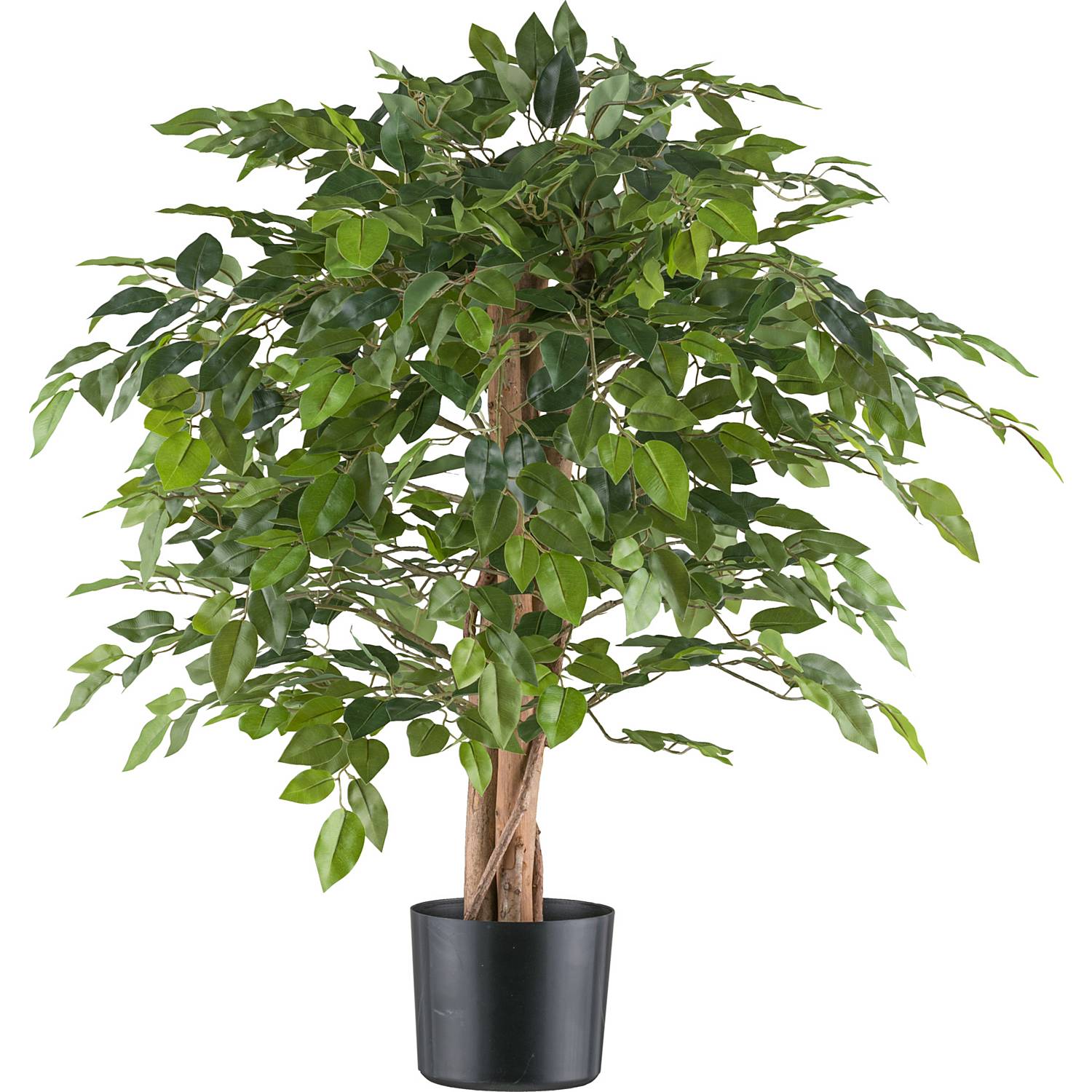 Kunstpflanze Ficus Benjamina