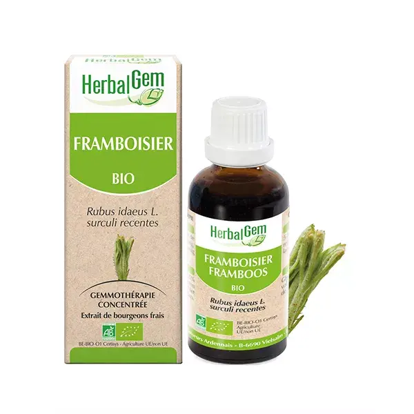 Herbalgem Concentrado Orgânico de Framboesa Macerado 30ml