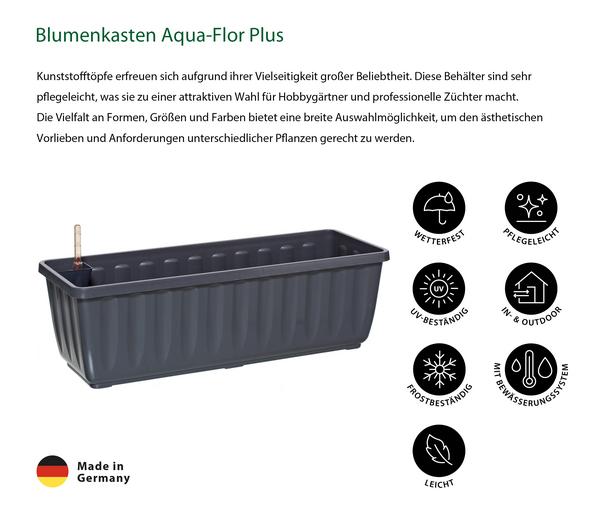 Dehner Blumenkasten Aqua-Flor Plus mit