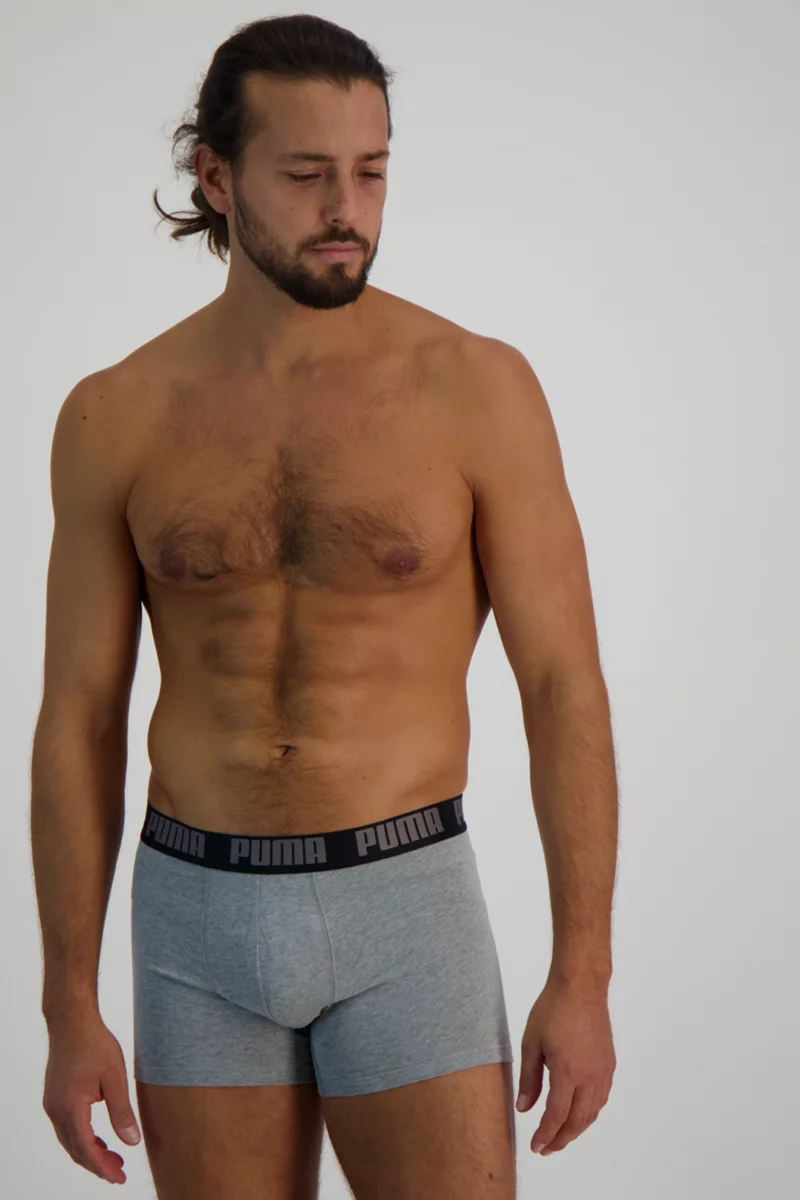 Puma 2-Pack Basic Herren Boxershort Bio-Cotton
